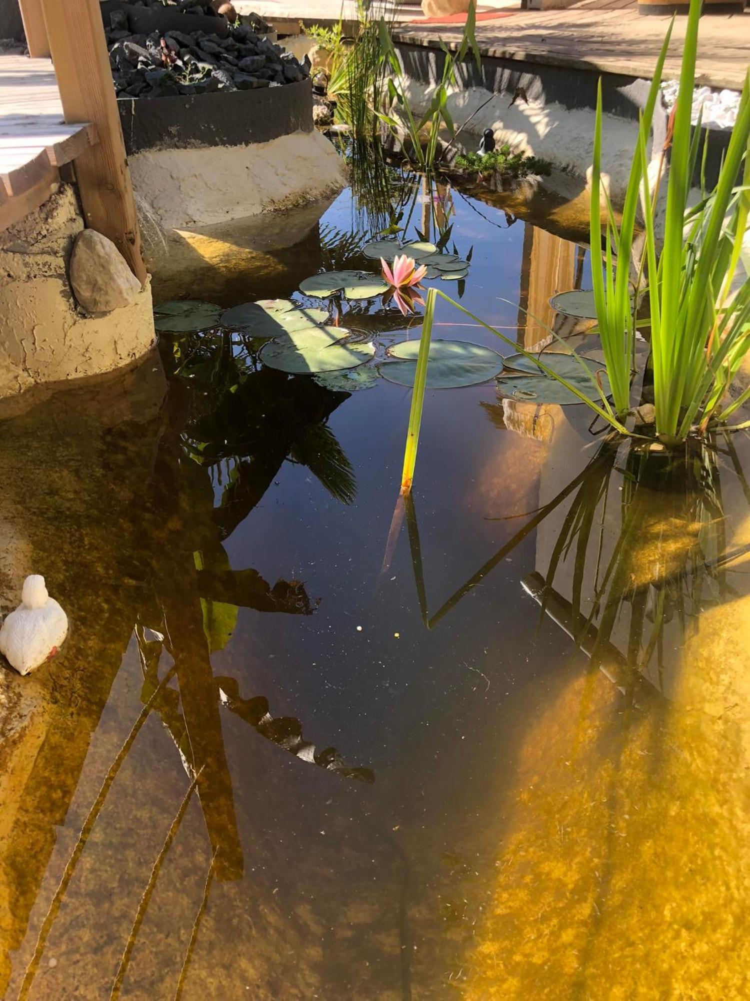 A La Marc'Quize Chambres D'Hotes, Petit Dejeuner Compris, Avec Piscine A Debordement En Exterieur, Bain Nordique A 38 Degres En Prestation Supplement Sur Reservation Horaire Anticipee 1 Place De Parking Gratuite Sur Place Mouxy Extérieur photo