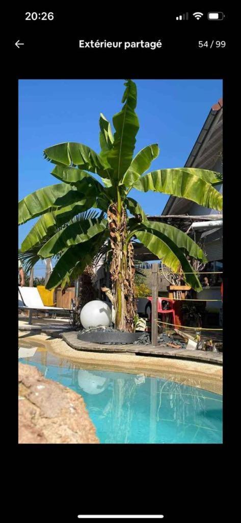 A La Marc'Quize Chambres D'Hotes, Petit Dejeuner Compris, Avec Piscine A Debordement En Exterieur, Bain Nordique A 38 Degres En Prestation Supplement Sur Reservation Horaire Anticipee 1 Place De Parking Gratuite Sur Place Mouxy Extérieur photo